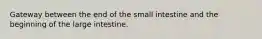 Gateway between the end of the small intestine and the beginning of the large intestine.