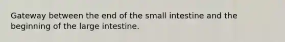 Gateway between the end of the small intestine and the beginning of the large intestine.