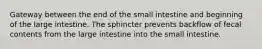 Gateway between the end of the small intestine and beginning of the large intestine. The sphincter prevents backflow of fecal contents from the large intestine into the small intestine.