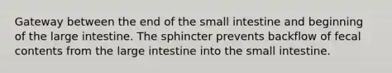 Gateway between the end of the small intestine and beginning of the large intestine. The sphincter prevents backflow of fecal contents from the large intestine into the small intestine.