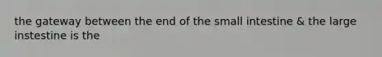 the gateway between the end of the small intestine & the large instestine is the