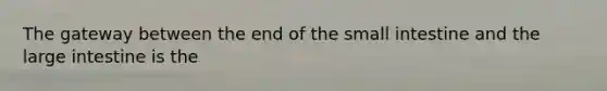 The gateway between the end of the small intestine and the large intestine is the