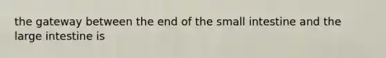 the gateway between the end of the small intestine and the large intestine is