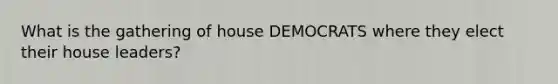 What is the gathering of house DEMOCRATS where they elect their house leaders?