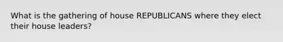 What is the gathering of house REPUBLICANS where they elect their house leaders?