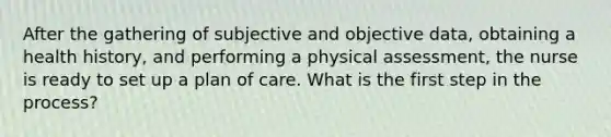 After the gathering of subjective and objective data, obtaining a health history, and performing a physical assessment, the nurse is ready to set up a plan of care. What is the first step in the process?