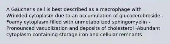 A Gaucher's cell is best described as a macrophage with -Wrinkled cytoplasm due to an accumulation of glucocerebroside -Foamy cytoplasm filled with unmetabolized sphingomyelin -Pronounced vacuolization and deposits of cholesterol -Abundant cytoplasm containing storage iron and cellular remnants