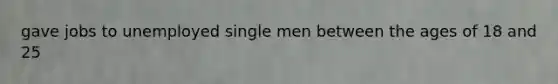 gave jobs to unemployed single men between the ages of 18 and 25