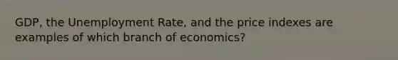 GDP, the Unemployment Rate, and the price indexes are examples of which branch of economics?