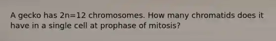 A gecko has 2n=12 chromosomes. How many chromatids does it have in a single cell at prophase of mitosis?