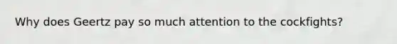 Why does Geertz pay so much attention to the cockfights?