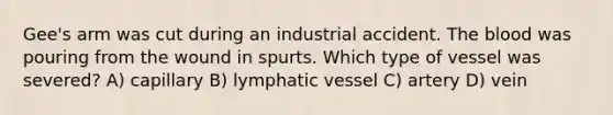 Gee's arm was cut during an industrial accident. The blood was pouring from the wound in spurts. Which type of vessel was severed? A) capillary B) lymphatic vessel C) artery D) vein