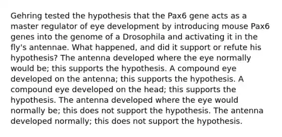 Gehring tested the hypothesis that the Pax6 gene acts as a master regulator of eye development by introducing mouse Pax6 genes into the genome of a Drosophila and activating it in the fly's antennae. What happened, and did it support or refute his hypothesis? The antenna developed where the eye normally would be; this supports the hypothesis. A compound eye developed on the antenna; this supports the hypothesis. A compound eye developed on the head; this supports the hypothesis. The antenna developed where the eye would normally be; this does not support the hypothesis. The antenna developed normally; this does not support the hypothesis.