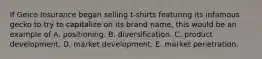 If Geico Insurance began selling t-shirts featuring its infamous gecko to try to capitalize on its brand name, this would be an example of A. positioning. B. diversification. C. product development. D. market development. E. market penetration.