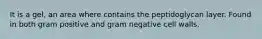 It is a gel, an area where contains the peptidoglycan layer. Found in both gram positive and gram negative cell walls.