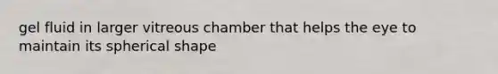 gel fluid in larger vitreous chamber that helps the eye to maintain its spherical shape