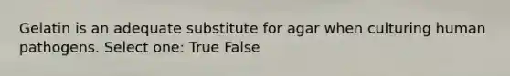 Gelatin is an adequate substitute for agar when culturing human pathogens. Select one: True False