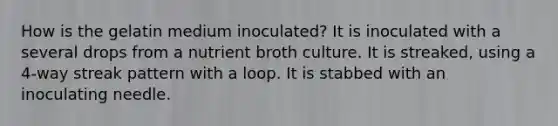 How is the gelatin medium inoculated? It is inoculated with a several drops from a nutrient broth culture. It is streaked, using a 4-way streak pattern with a loop. It is stabbed with an inoculating needle.