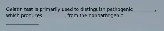 Gelatin test is primarily used to distinguish pathogenic _________, which produces _________, from the nonpathogenic ______________.