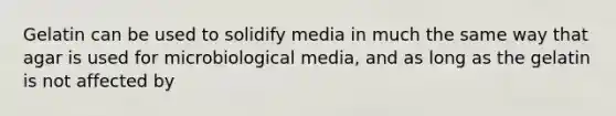 Gelatin can be used to solidify media in much the same way that agar is used for microbiological media, and as long as the gelatin is not affected by