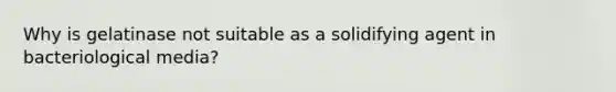 Why is gelatinase not suitable as a solidifying agent in bacteriological media?