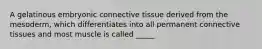 A gelatinous embryonic connective tissue derived from the mesoderm, which differentiates into all permanent connective tissues and most muscle is called _____