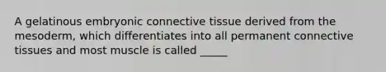 A gelatinous embryonic connective tissue derived from the mesoderm, which differentiates into all permanent connective tissues and most muscle is called _____