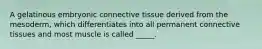 A gelatinous embryonic connective tissue derived from the mesoderm, which differentiates into all permanent connective tissues and most muscle is called _____.