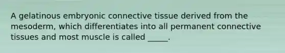 A gelatinous embryonic connective tissue derived from the mesoderm, which differentiates into all permanent connective tissues and most muscle is called _____.