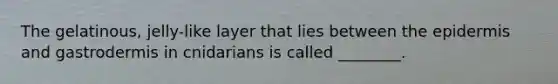 The gelatinous, jelly-like layer that lies between the epidermis and gastrodermis in cnidarians is called ________.