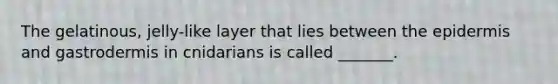 The gelatinous, jelly-like layer that lies between the epidermis and gastrodermis in cnidarians is called _______.