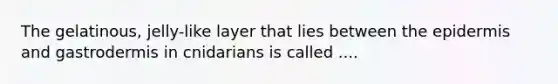 The gelatinous, jelly-like layer that lies between the epidermis and gastrodermis in cnidarians is called ....