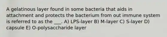 A gelatinous layer found in some bacteria that aids in attachment and protects the bacterium from out immune system is referred to as the ___. A) LPS-layer B) M-layer C) S-layer D) capsule E) O-polysaccharide layer