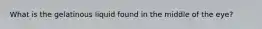 What is the gelatinous liquid found in the middle of the eye?