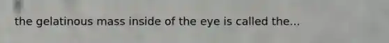 the gelatinous mass inside of the eye is called the...