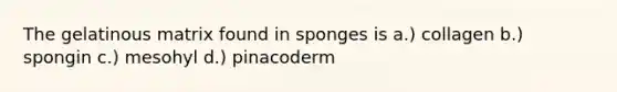 The gelatinous matrix found in sponges is a.) collagen b.) spongin c.) mesohyl d.) pinacoderm