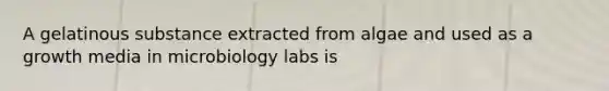 A gelatinous substance extracted from algae and used as a growth media in microbiology labs is