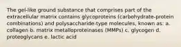 The gel-like ground substance that comprises part of the extracellular matrix contains glycoproteins (carbohydrate-protein combinations) and polysaccharide-type molecules, known as: a. collagen b. matrix metalloproteinases (MMPs) c. glycogen d. proteoglycans e. lactic acid