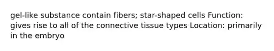 gel-like substance contain fibers; star-shaped cells Function: gives rise to all of the connective tissue types Location: primarily in the embryo