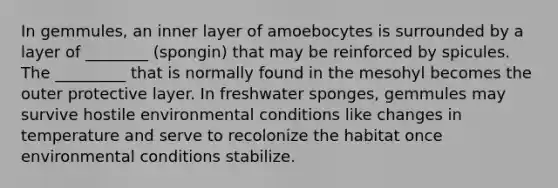 In gemmules, an inner layer of amoebocytes is surrounded by a layer of ________ (spongin) that may be reinforced by spicules. The _________ that is normally found in the mesohyl becomes the outer protective layer. In freshwater sponges, gemmules may survive hostile environmental conditions like changes in temperature and serve to recolonize the habitat once environmental conditions stabilize.