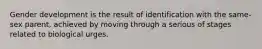 Gender development is the result of identification with the same-sex parent, achieved by moving through a serious of stages related to biological urges.