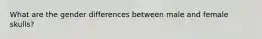 What are the gender differences between male and female skulls?