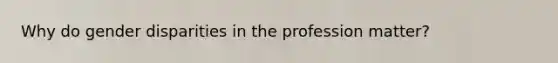 Why do gender disparities in the profession matter?