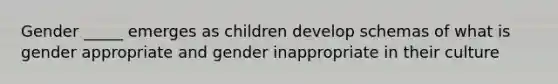 Gender _____ emerges as children develop schemas of what is gender appropriate and gender inappropriate in their culture