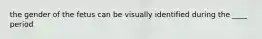 the gender of the fetus can be visually identified during the ____ period