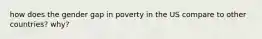 how does the gender gap in poverty in the US compare to other countries? why?