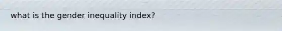 what is the gender inequality index?