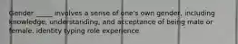 Gender _____ involves a sense of one's own gender, including knowledge, understanding, and acceptance of being male or female. identity typing role experience