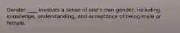 Gender ____ involves a sense of one's own gender, including knowledge, understanding, and acceptance of being male or female.