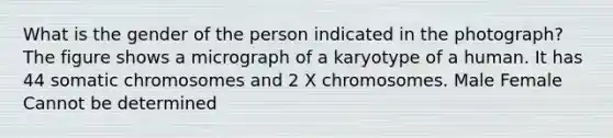 What is the gender of the person indicated in the photograph? The figure shows a micrograph of a karyotype of a human. It has 44 somatic chromosomes and 2 X chromosomes. Male Female Cannot be determined